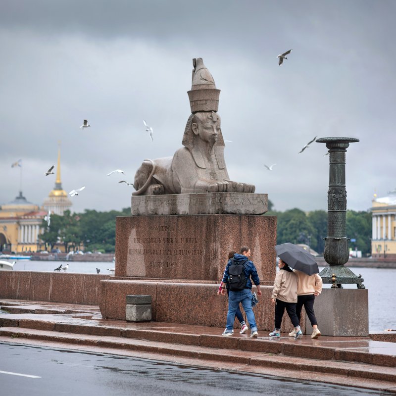 Дождь, Нева, город, набережная, сфинкс, чайки, зонтик Летний дождик на Невеphoto preview