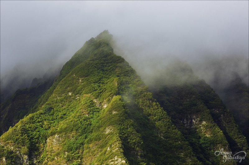 гавайи, оаху, остров, горы, фототур, пшишылны, сша. путешествие photo preview