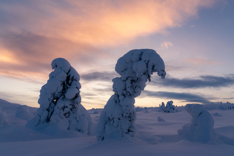 Крошка сын к отцу пришелphoto preview
