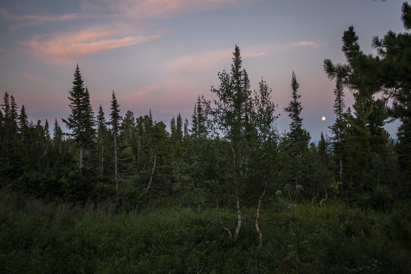 Моя Шорияphoto preview