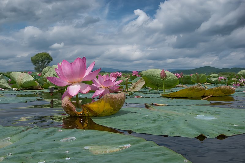 Ладья для двоих.photo preview