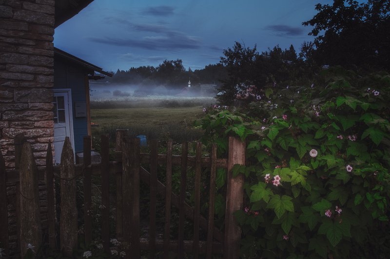 лето, изборск, туман Туманный вечерphoto preview