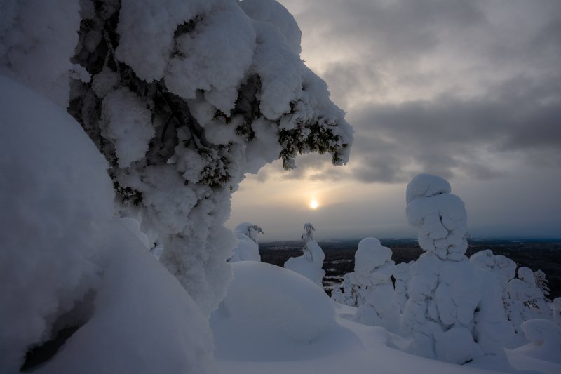 Декорации для небесного светильникаphoto preview