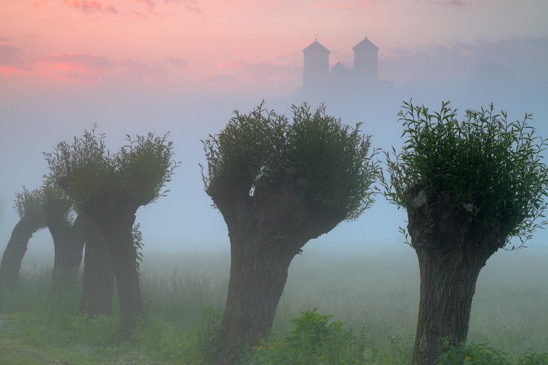 village, willow, monastery, tower, mood, mist, fog, morning, sunrise, summer, tyniec, The crowdphoto preview
