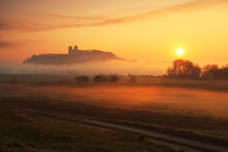 morning, spring, light, mood, mist, sun, abbey, Honey morningphoto preview