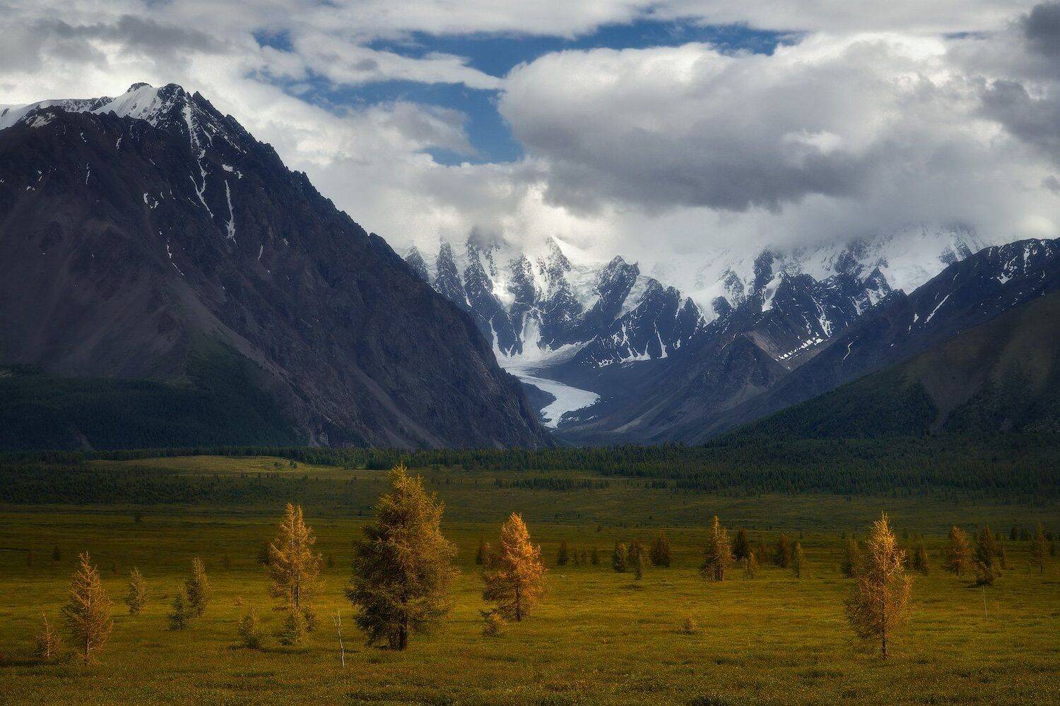 , Владимир Ляпин