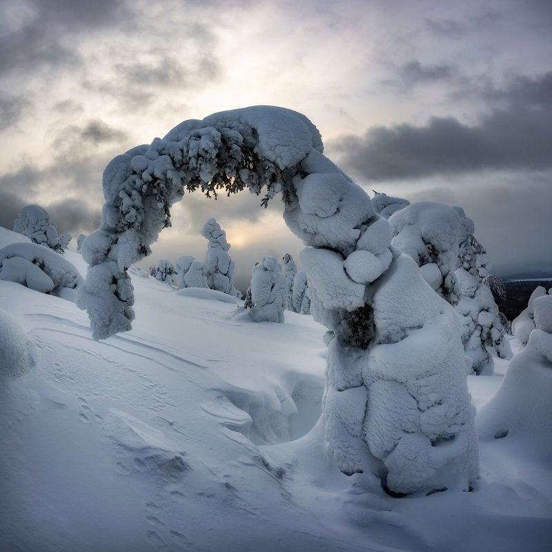 Во власти снегаphoto preview
