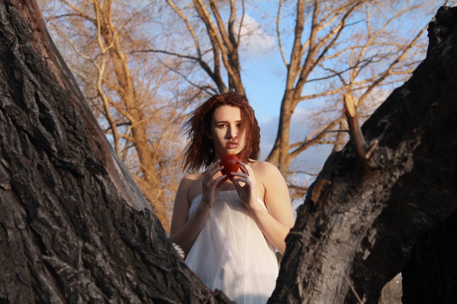 ***. Автор: Павел Троицкий фотограф,павелтроицкий,девушка,портрет,модель,гламур,art, Павел Троицкий