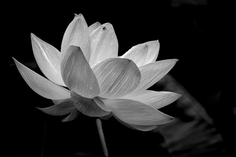 В поисках идеальной формы.photo preview