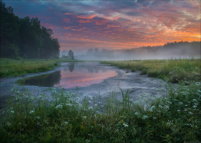 утро, туман, рассвет, небо, облака, купырь, ручей, вода, река, цветы, росв Купырь у пересохшего ручьяphoto preview