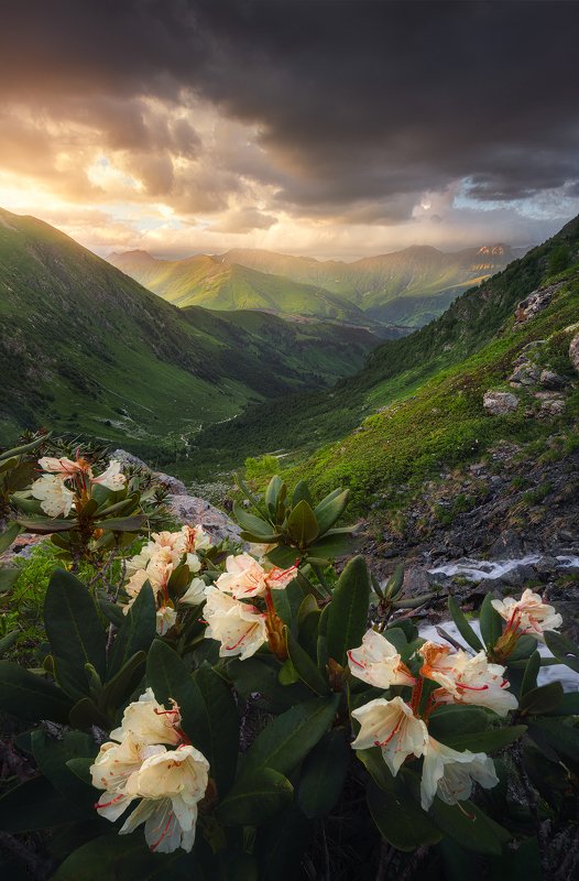 Кавказphoto preview