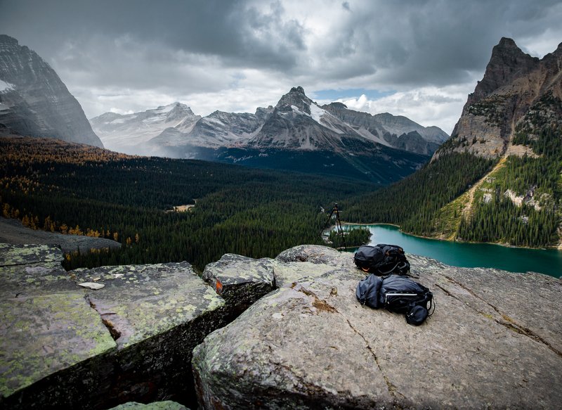 canada ,britishcolumbia ,bc ,yoho ,yohonationalpark ,lakeohara ,lakeoharapanorama ,landscape ,explorecanada ,dreamplace ,mountainpeak ,thebestplaceintheworld ,autumnincanada ,rociemountains ,canadianrockies ,parkscanada ,canadianphotography ,wildplaces ,c Lookoutphoto preview