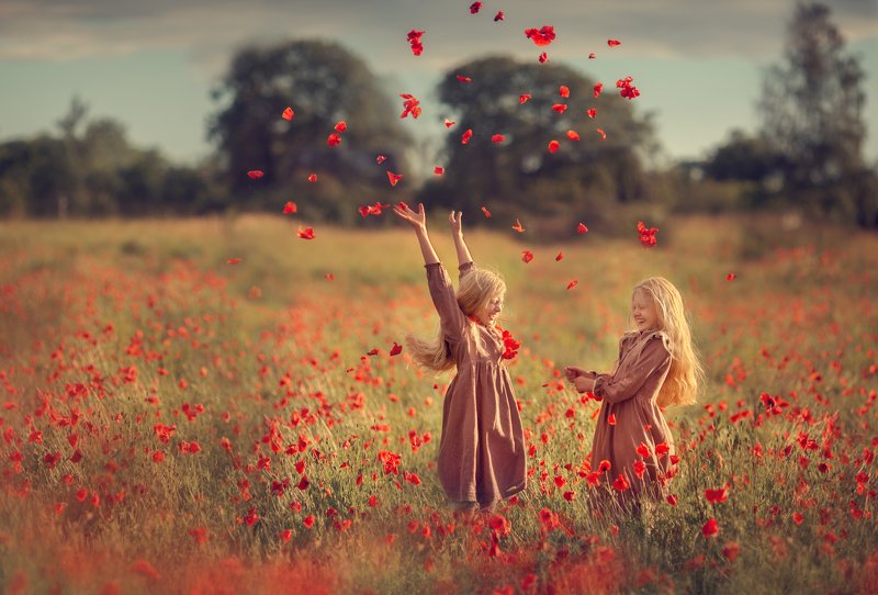 маки маковое поле сестры лето Настроение летоphoto preview