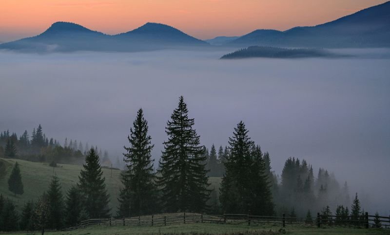 Утренние туманыphoto preview