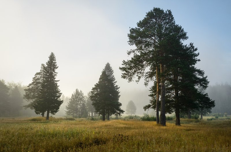 Утренний туман.photo preview