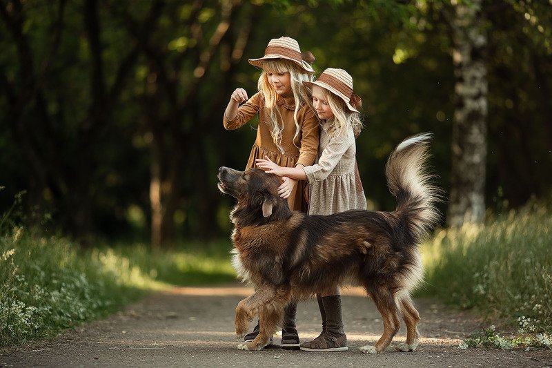 Знакомствоphoto preview