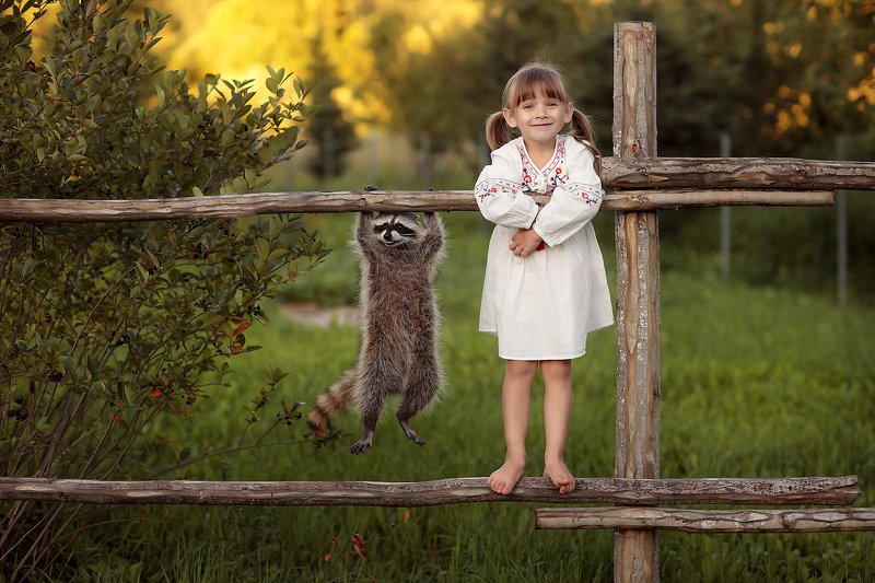 Енот, да не тот :)photo preview