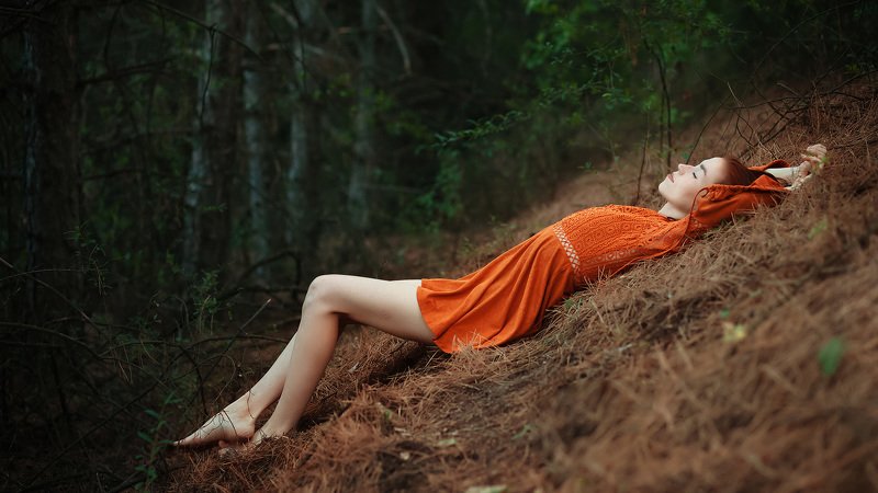 лес ***photo preview