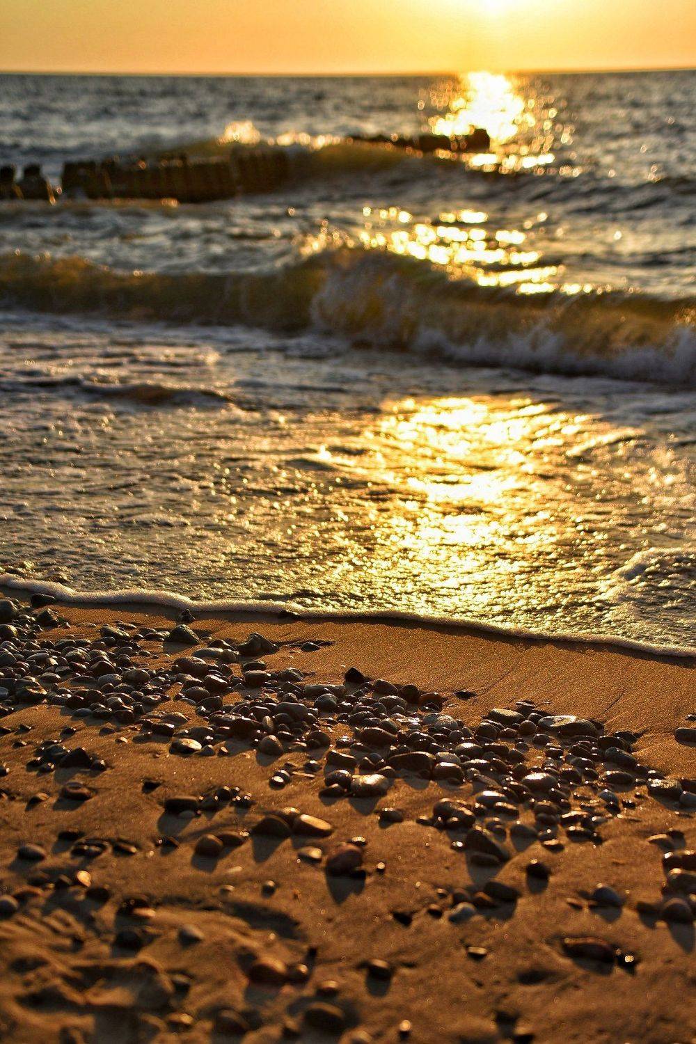 Золото Балтики. Автор: Владимир Леликов-Кузьменко , Владимир Леликов-Кузьменко