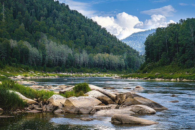 река, мрас-су, хомутовские, пороги, камни, скалы, тайга, лес, природа, небо Нижняя граница Хомутовских порогов на реке Мрас-Суphoto preview