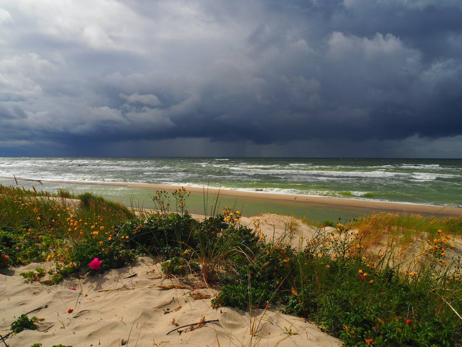 Надвигается шквал.. Автор: Андрей Перешеин , Андрей Перешеин