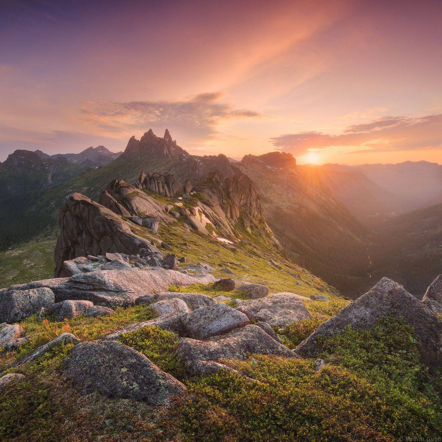 , Вадим Гвон