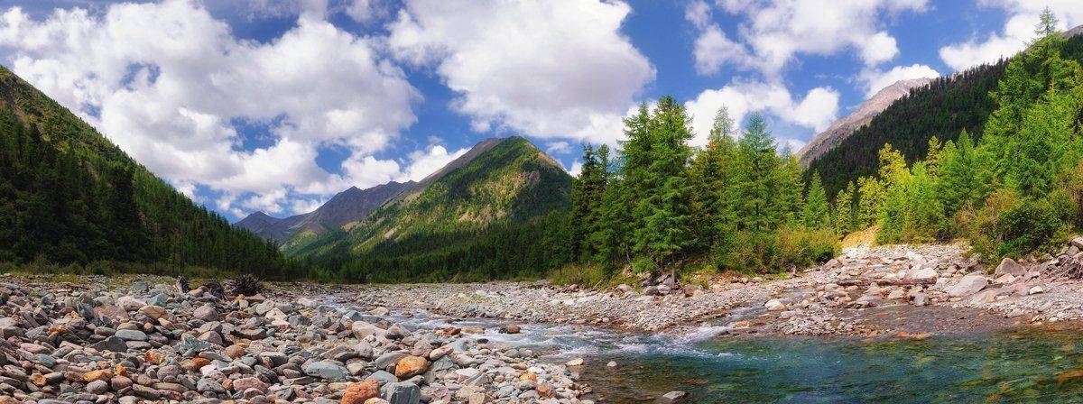 Стрелка Шумака и Шумак-Гола. Автор: Zhaubasar , Zhaubasar