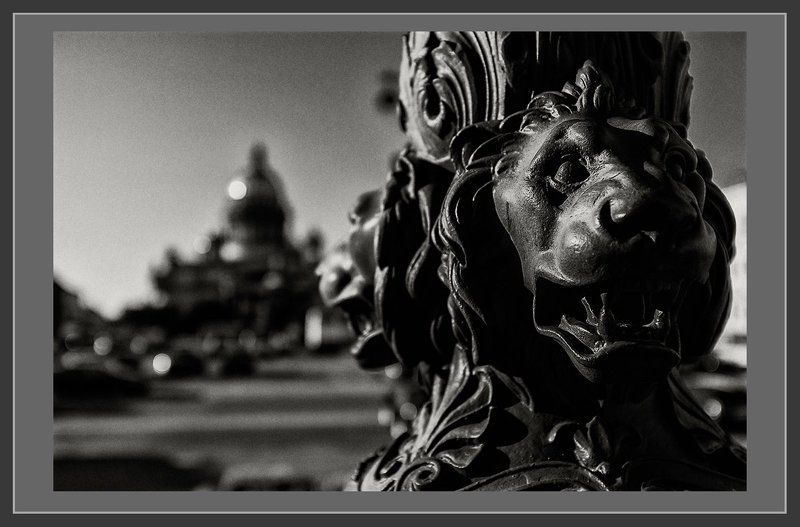 питер, санкт-петербург, исаакиевская площадь Питерphoto preview