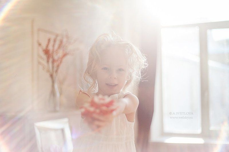 sunshine of springphoto preview