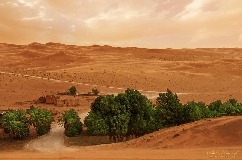 Oasis ..!photo preview