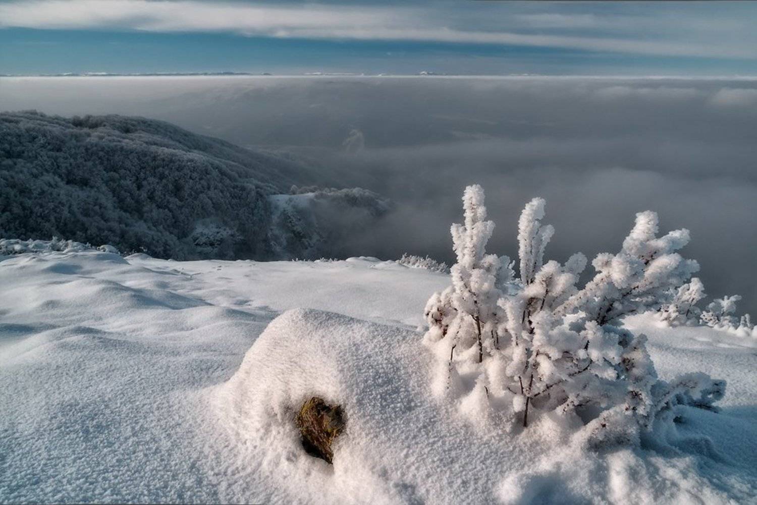 Vitosha. Автор: Светозар Кръстев , Светозар Кръстев