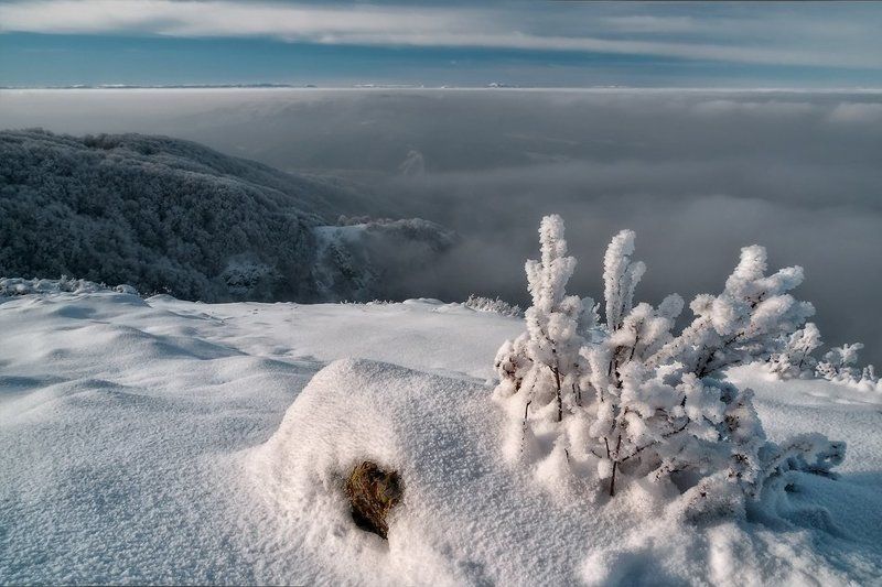 Vitoshaphoto preview