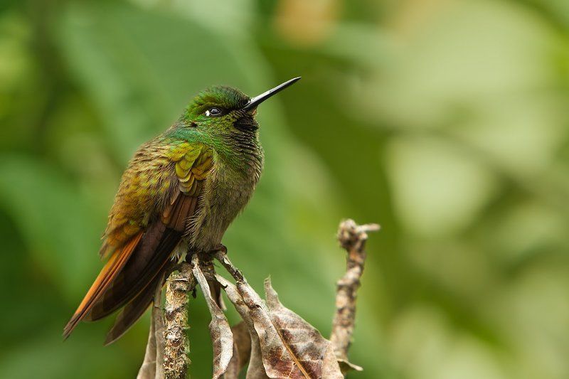 В образеphoto preview