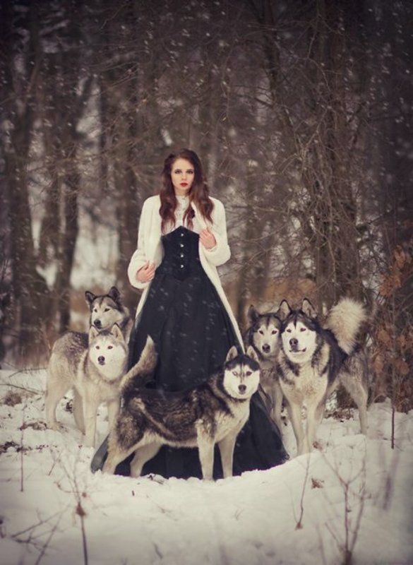 Defendersphoto preview