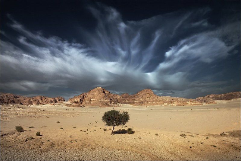 Предзнаменованиеphoto preview