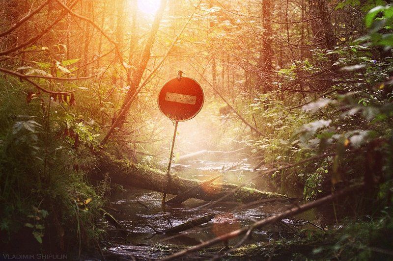 После... (after...)(3)photo preview