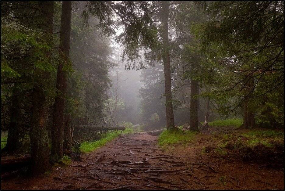 bulgaria, , vitosha, Svetoslav