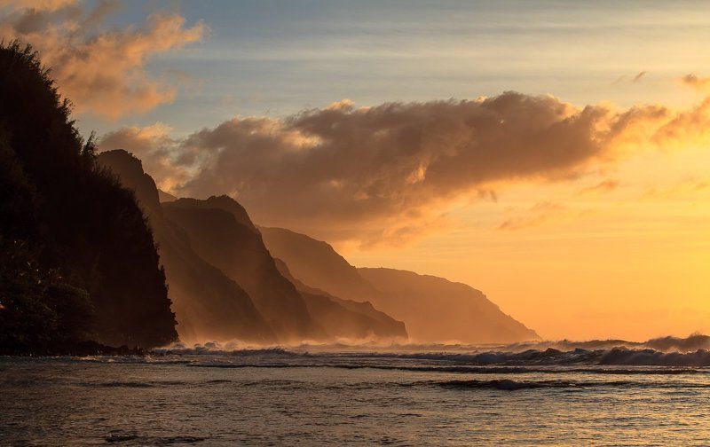 Tropicanaphoto preview