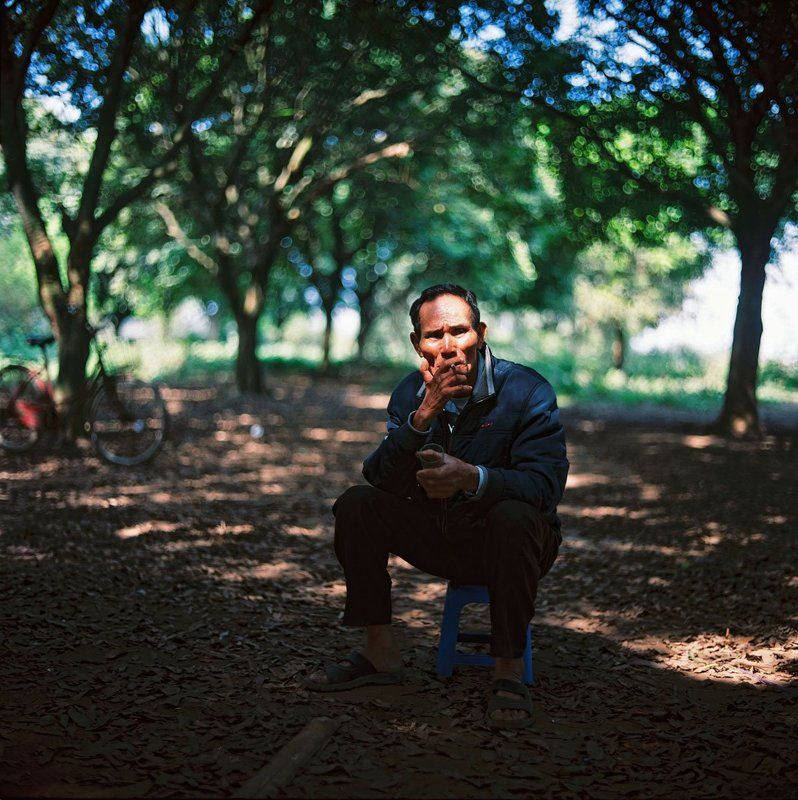 Old man in the logan gardenphoto preview