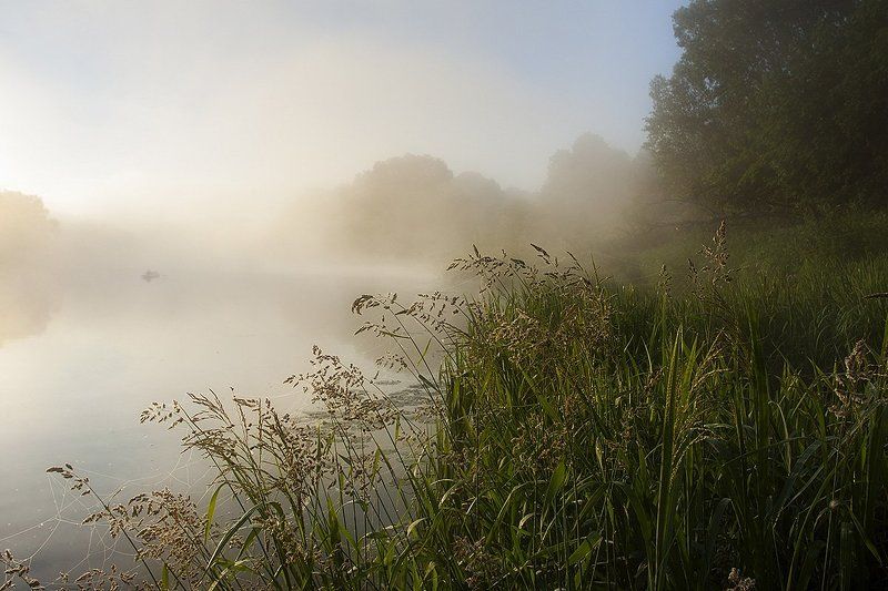 Утренняяphoto preview
