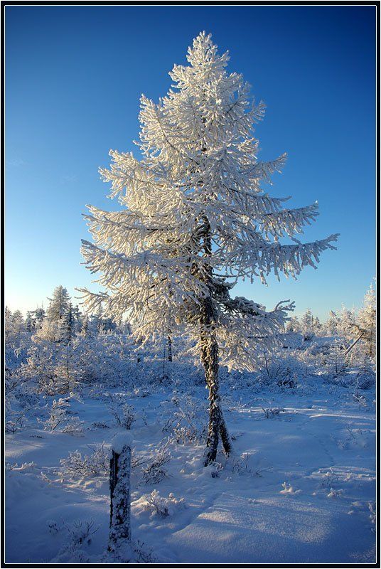 Модницаphoto preview