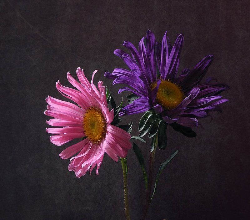 Ассортиphoto preview