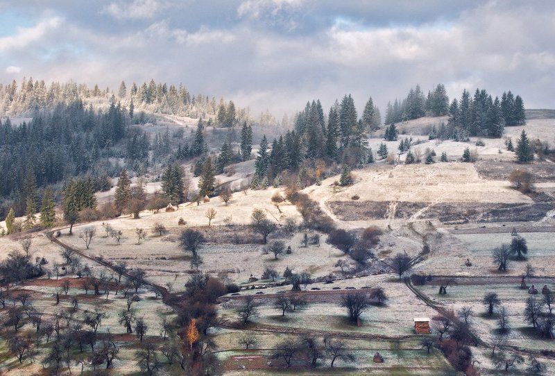 карпаты, утро, деревня, сад ...Зимний сад... фото превью