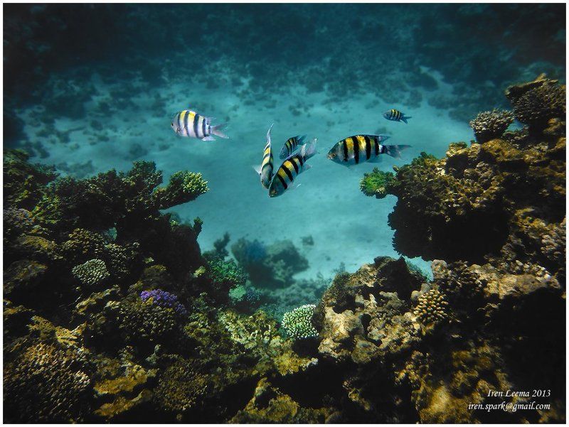 Амфитеатрphoto preview