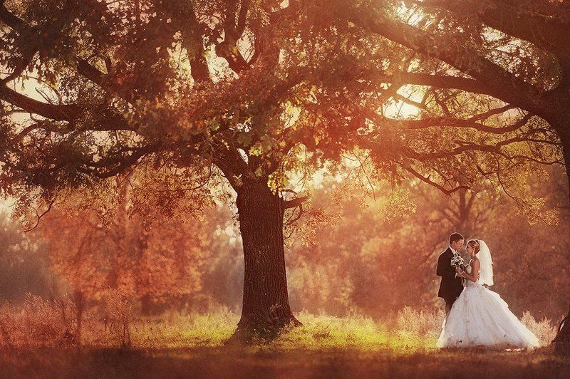 Weddingphoto preview