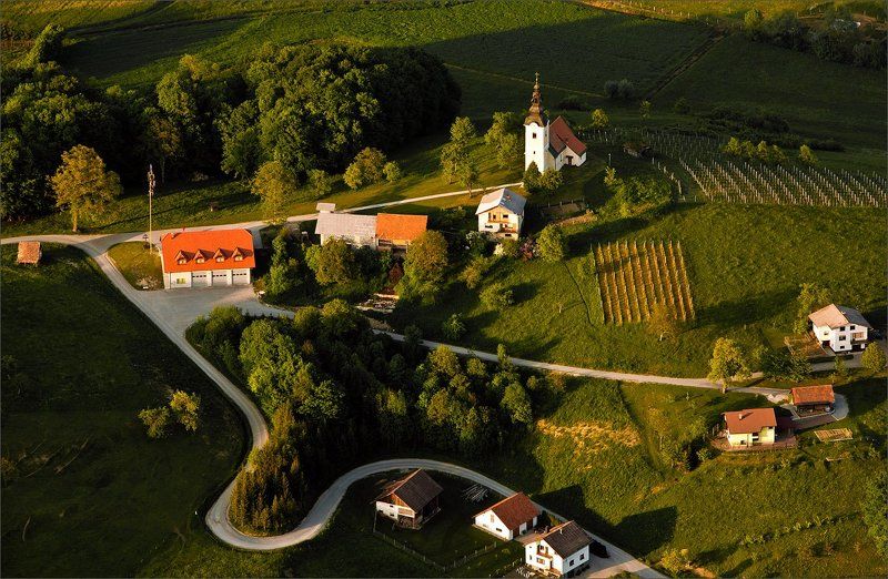 О глубине эволюции фото превью