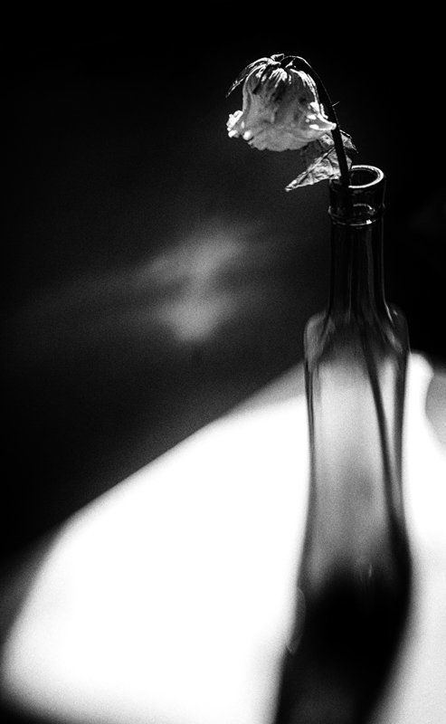 lensbaby ...прощальное танго...photo preview