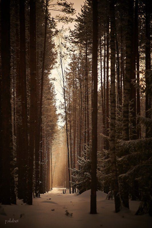 Путь к светуphoto preview