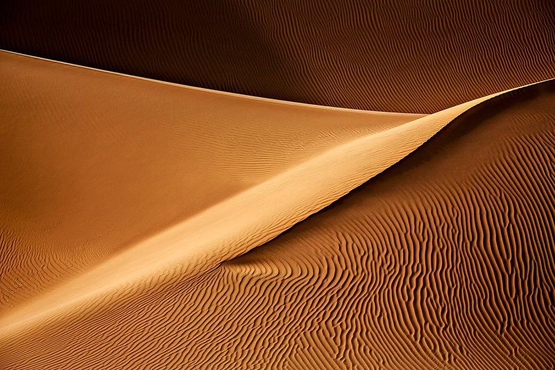 Golden Dustphoto preview