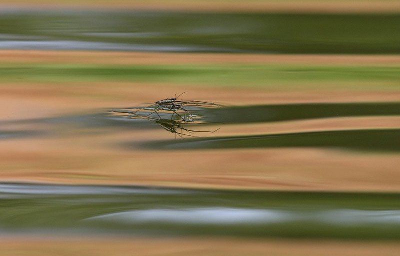 Парное катание на радужном озереphoto preview